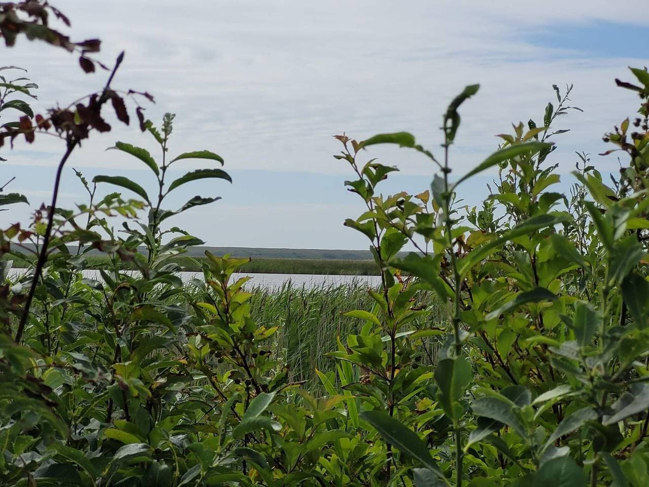 Foto 8 von 41: 4 Personen Ferienhaus in Ulfborg