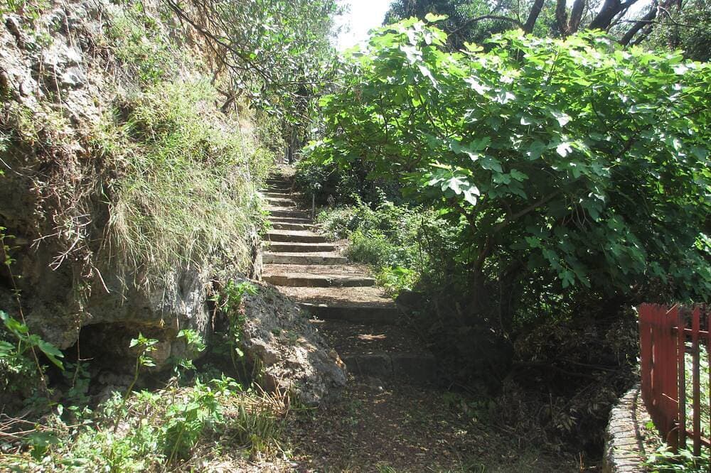Foto 6 von 30: Villa in Maratea Walking Distance From The Beach