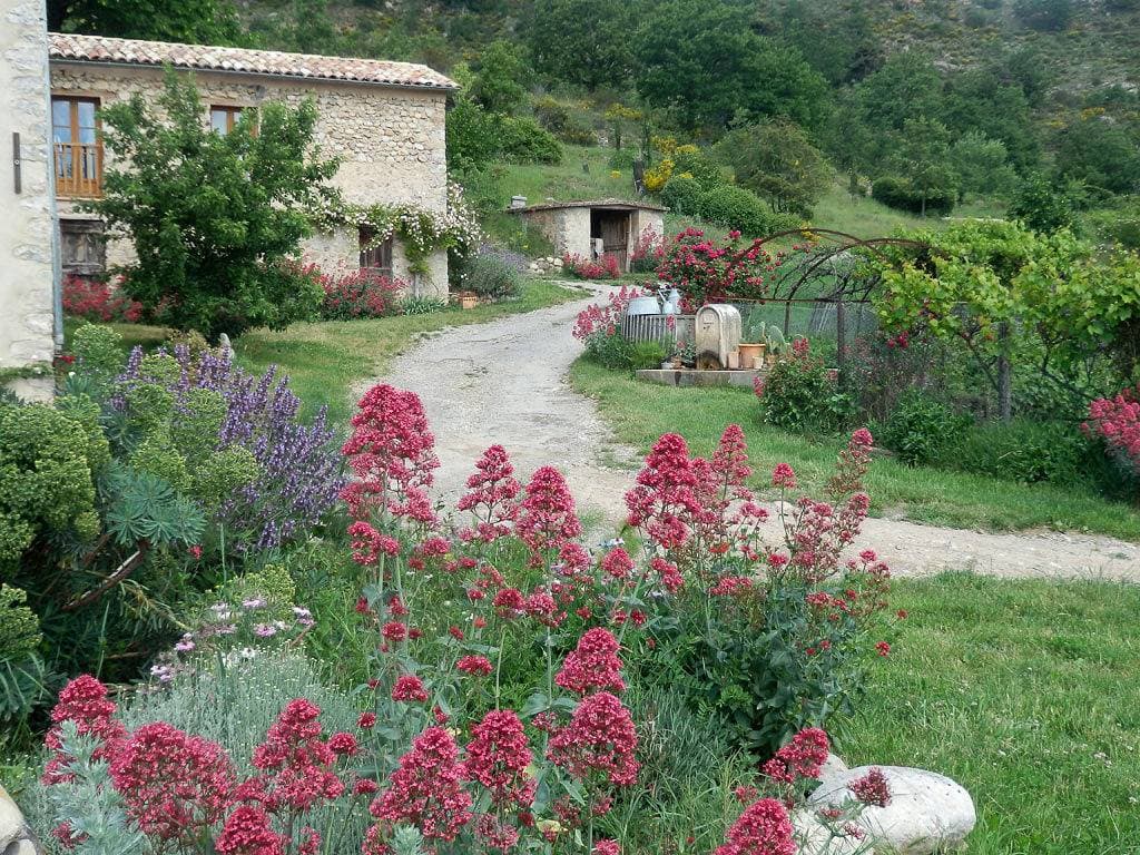 Les Tilleuls 1