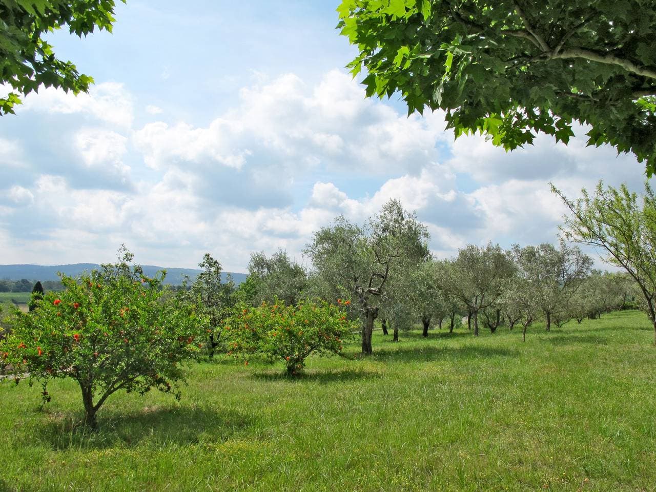 Foto 10 von 32: Mas de l'Adrech