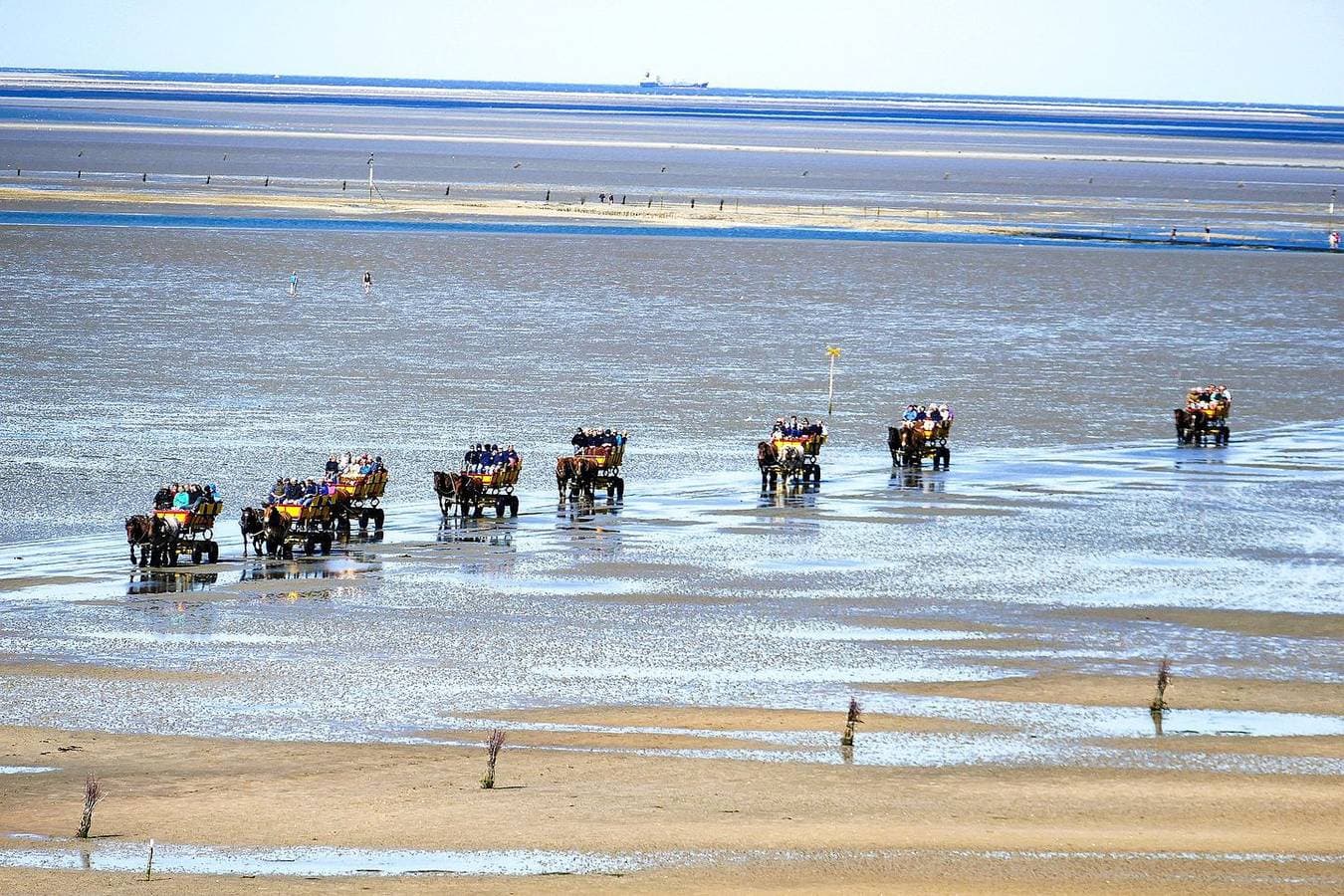 Foto 6 von 29: Penthouse am Strand von Cuxhaven-Sahlenburg, Meerblick, Nichtraucher