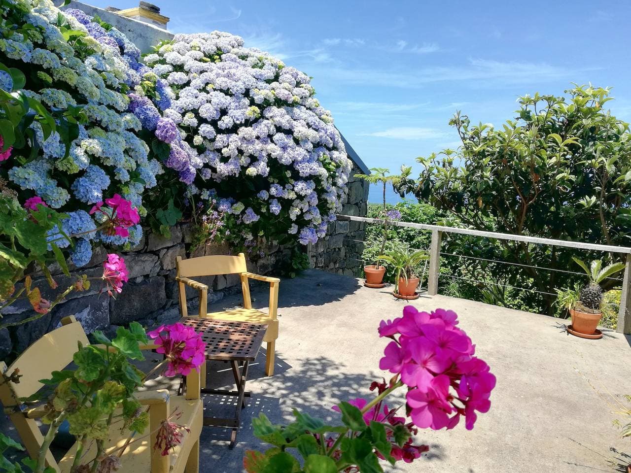 Foto 8 von 30: Azoren Ferienhaus mit meerblick