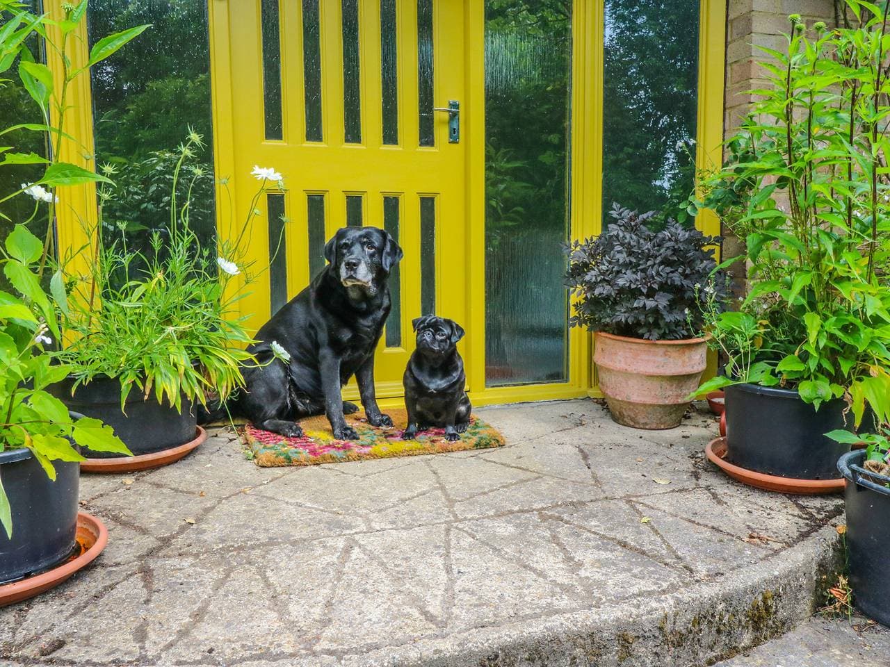 Foto 6 von 32: Cottage für 2 Personen mit Garten