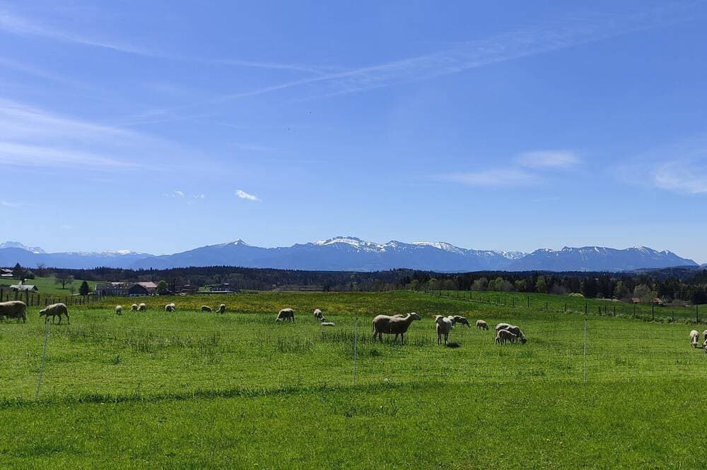 Foto 12 von 15: Wohnung/Ferienhäuschen