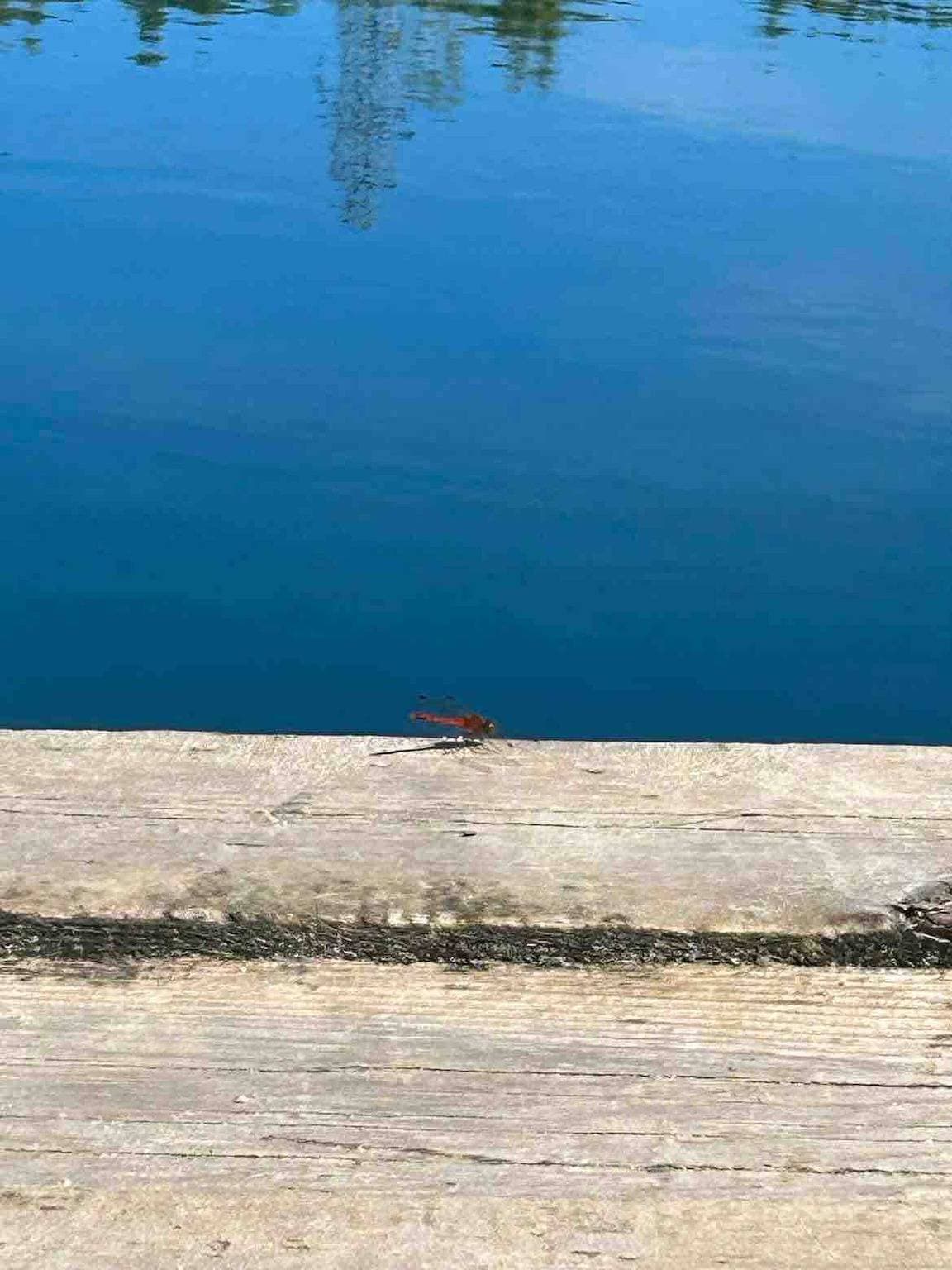 Foto 10 von 33: Flucht aus Le P’tit Kanada