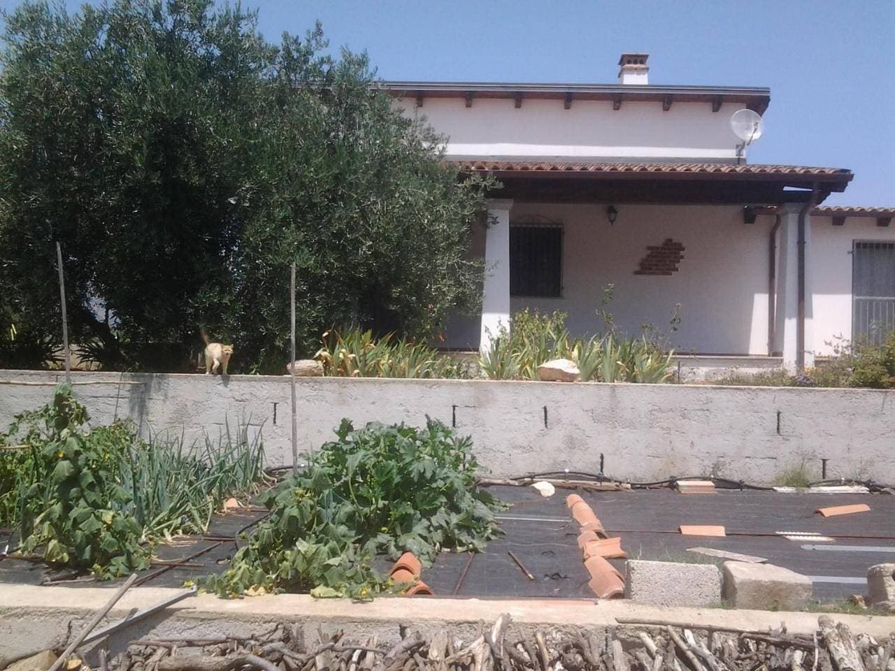 Foto 13 von 38: Two-Bedroom House