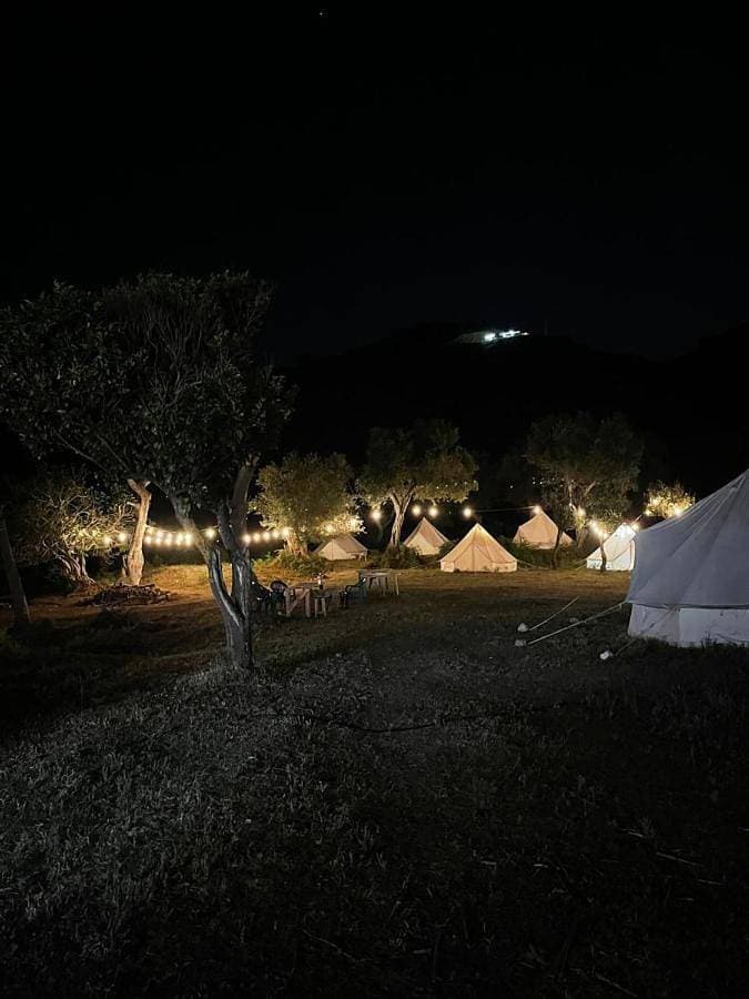 Foto 2 von 8: Tent