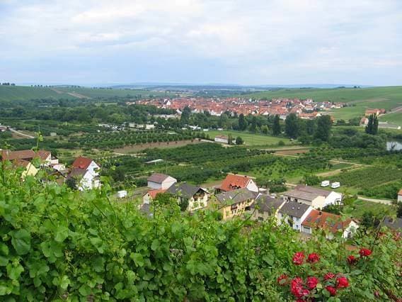 Ferien- und Winzerhof Ute Braun 1