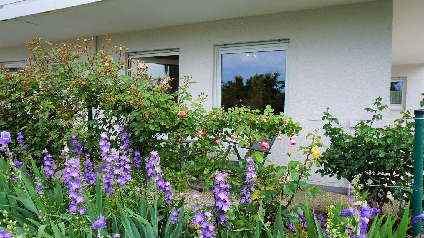 Foto 13 von 19: Ferienwohnung Silvaner-Laube B