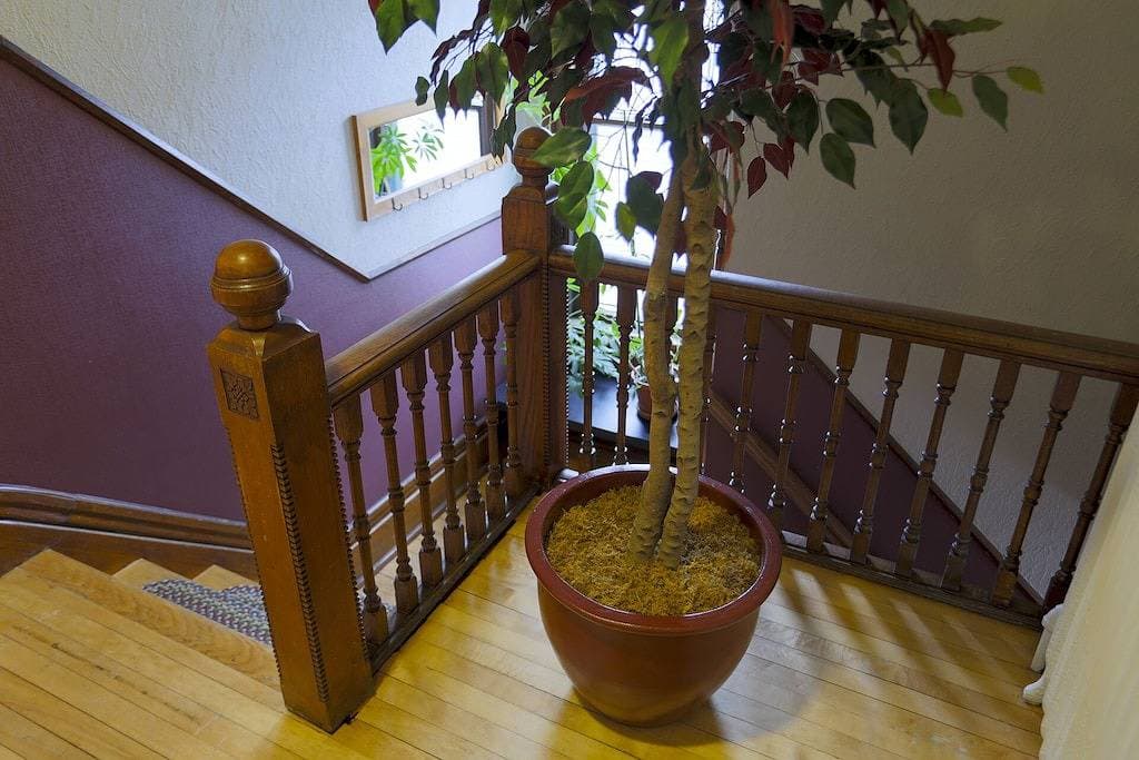 Foto 2 von 25: Das Hotel liegt im Herzen von Marquette