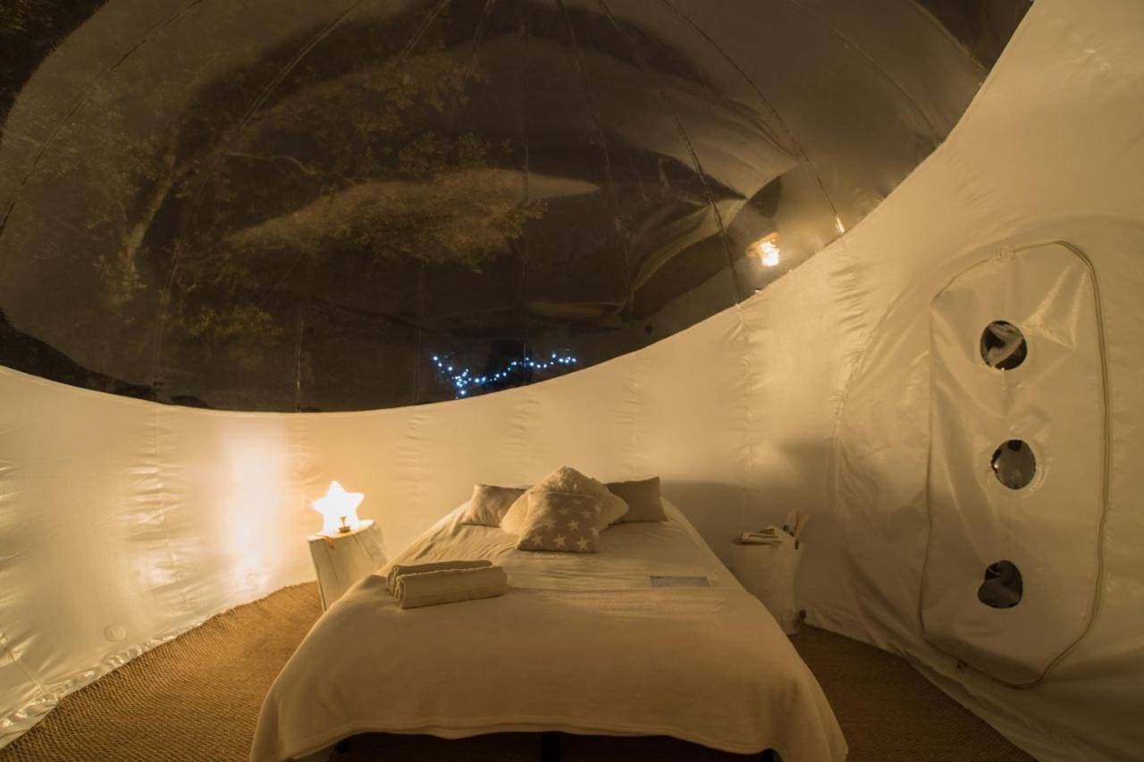 Foto 2 von 5: Tent