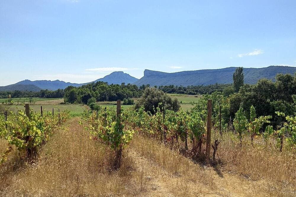 Foto 6 von 11: Comfortable gite in the Pic Saint Loup