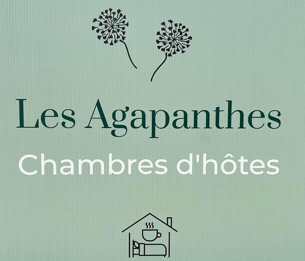 Les Agapanthes chambres d hôtes 1