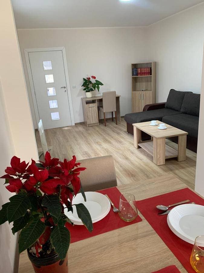 Apartman Zmaj 1