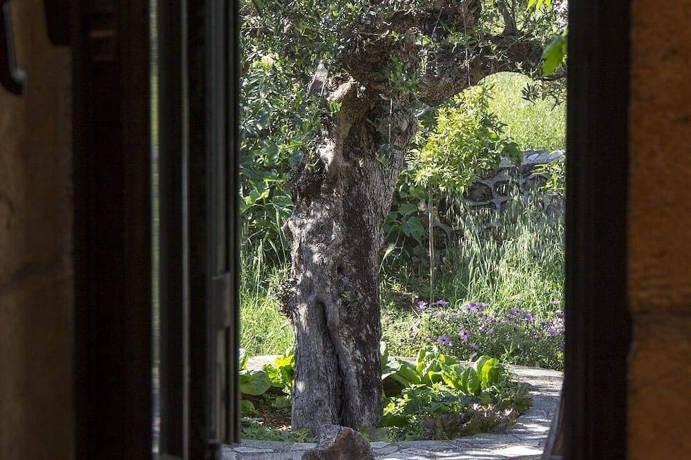 Foto 13 von 15: Traditionelles Ferienhaus in der Ruhe des Olivenhains