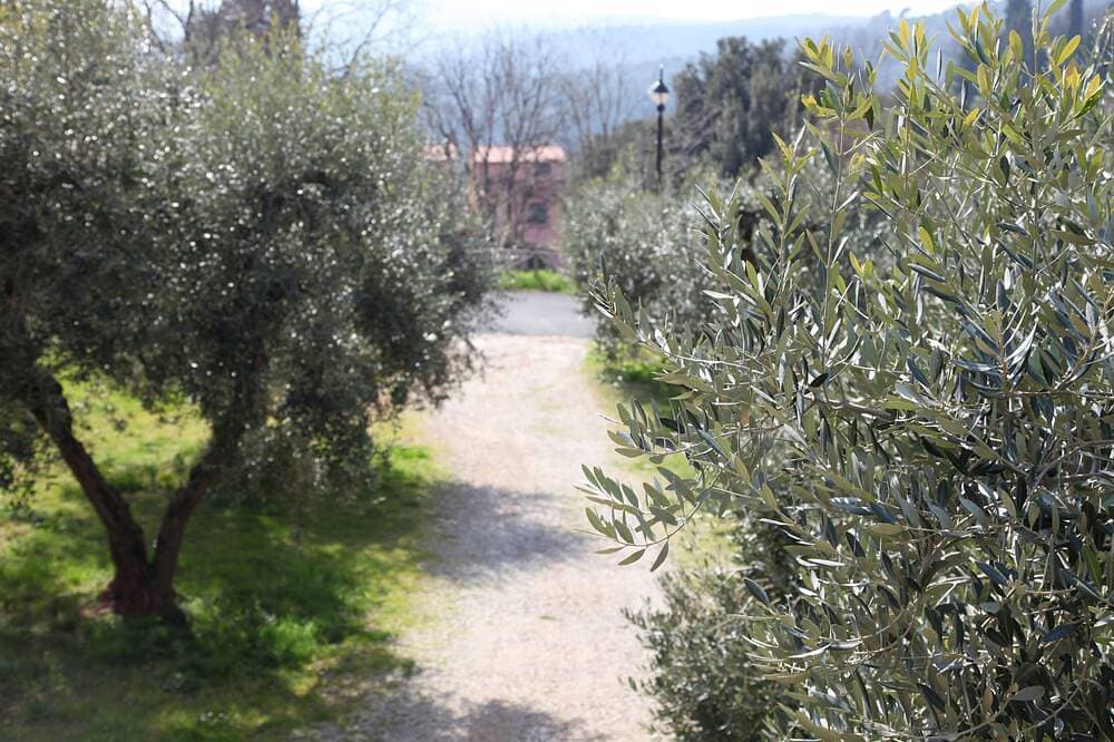 Foto 12 von 22: Haus mit Garten 25 Minuten vom Meer