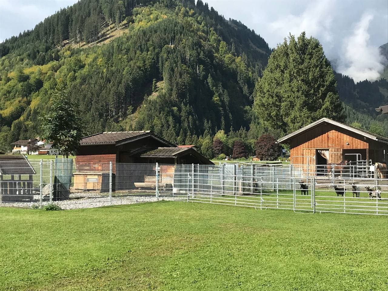 Foto 7 von 29: Pony-Ziegen-Hasen-Ranch in Bichlbach