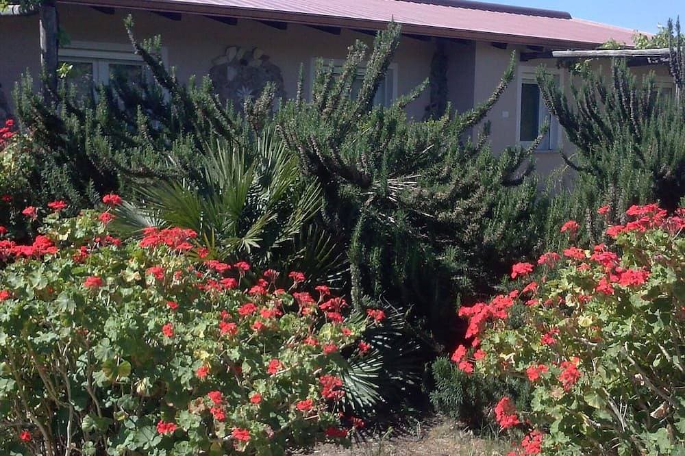 Foto 11 von 30: Ferienhaus mitten in einem Olivenhain und Mittelmeermacchia