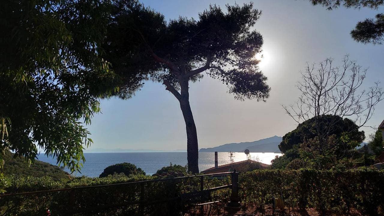 Foto 7 von 23: Holiday Home