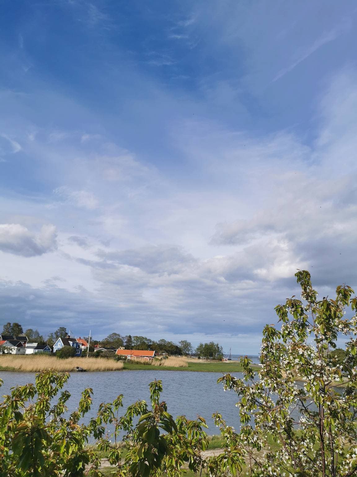 Foto 11 von 18: Ferienhäusschen auf einer Anhöhe mit Meerblick