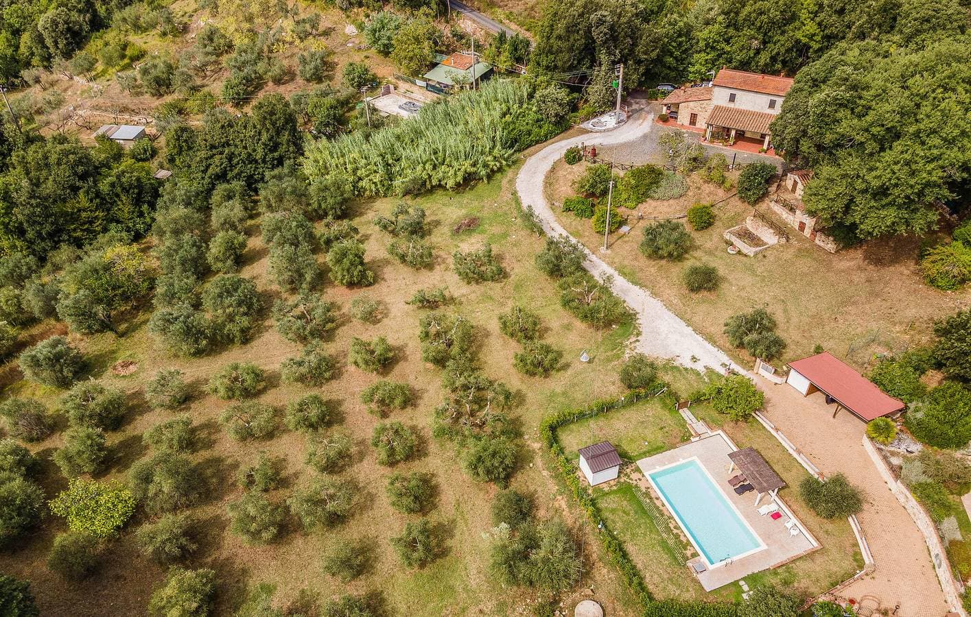 Foto 6 von 52: Charmante 110qm Wohnung | Pool, Garten, Parkplatz | Monteverdi Marittimo 1.5km
