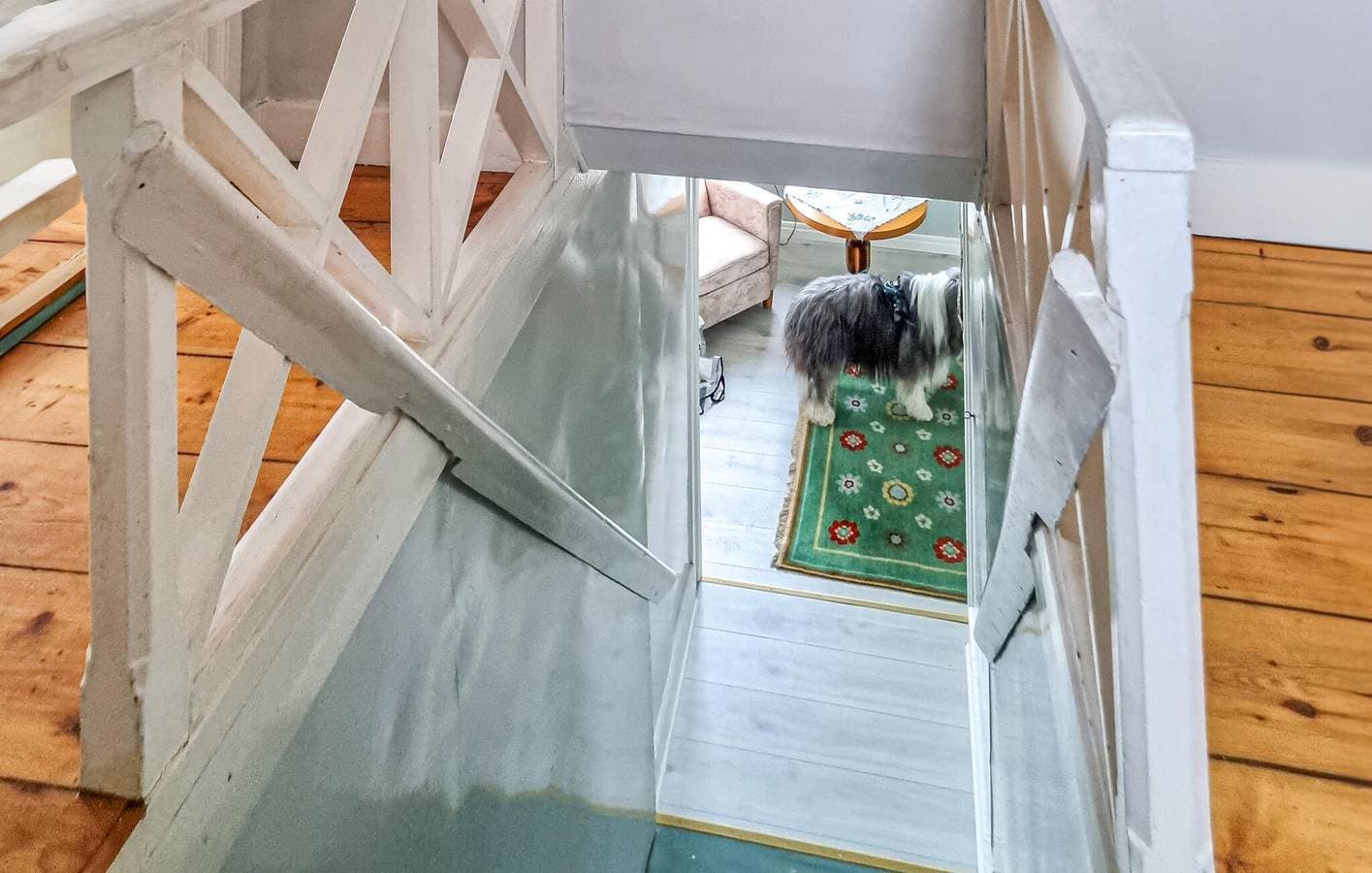 Foto 12 von 17: Ferienhaus für 6 Personen mit Garten
