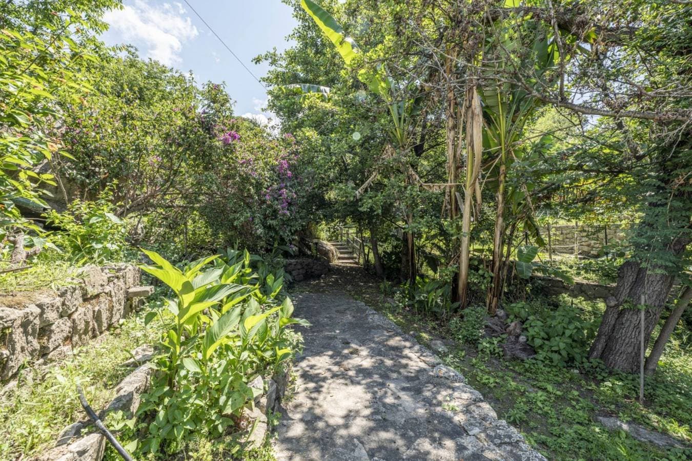 Foto 4 von 27: Villa für 6 Personen mit Terrasse