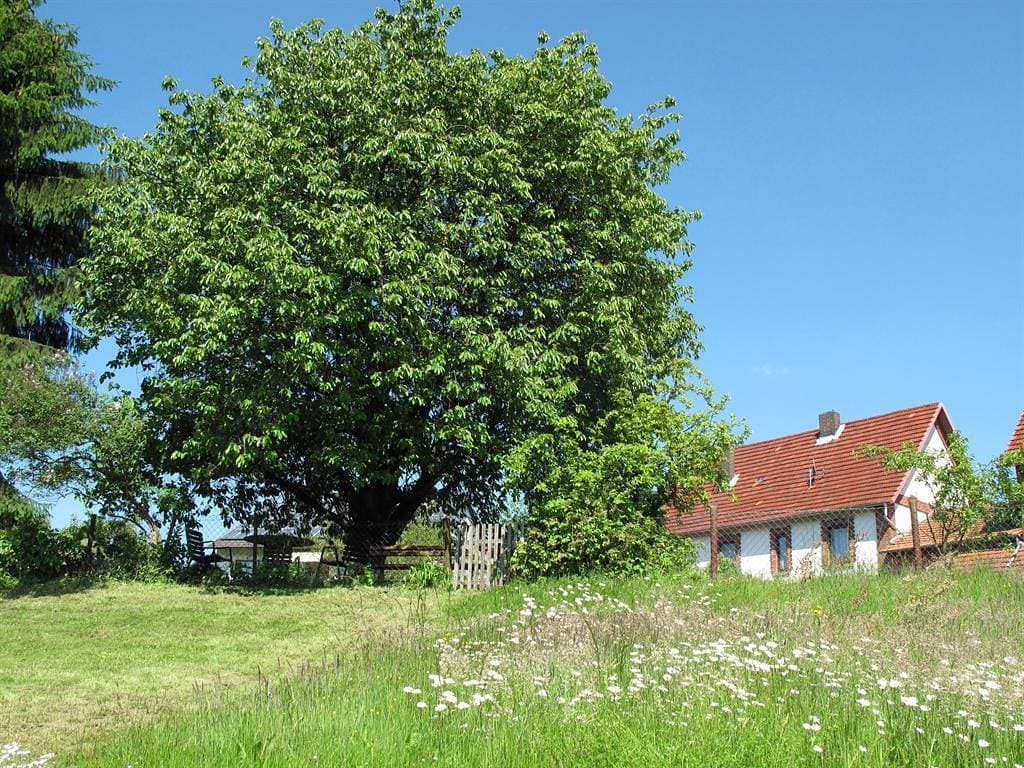 Foto 2 von 55: Altes Schifferhaus