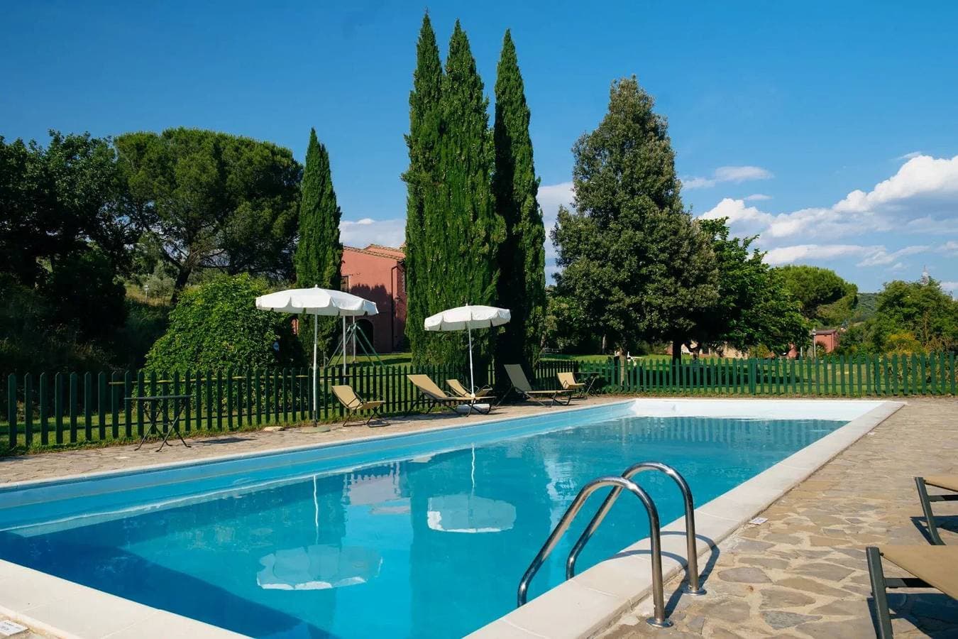 Agriturismo le Case Rosse di Montebuono - Oliveto 1