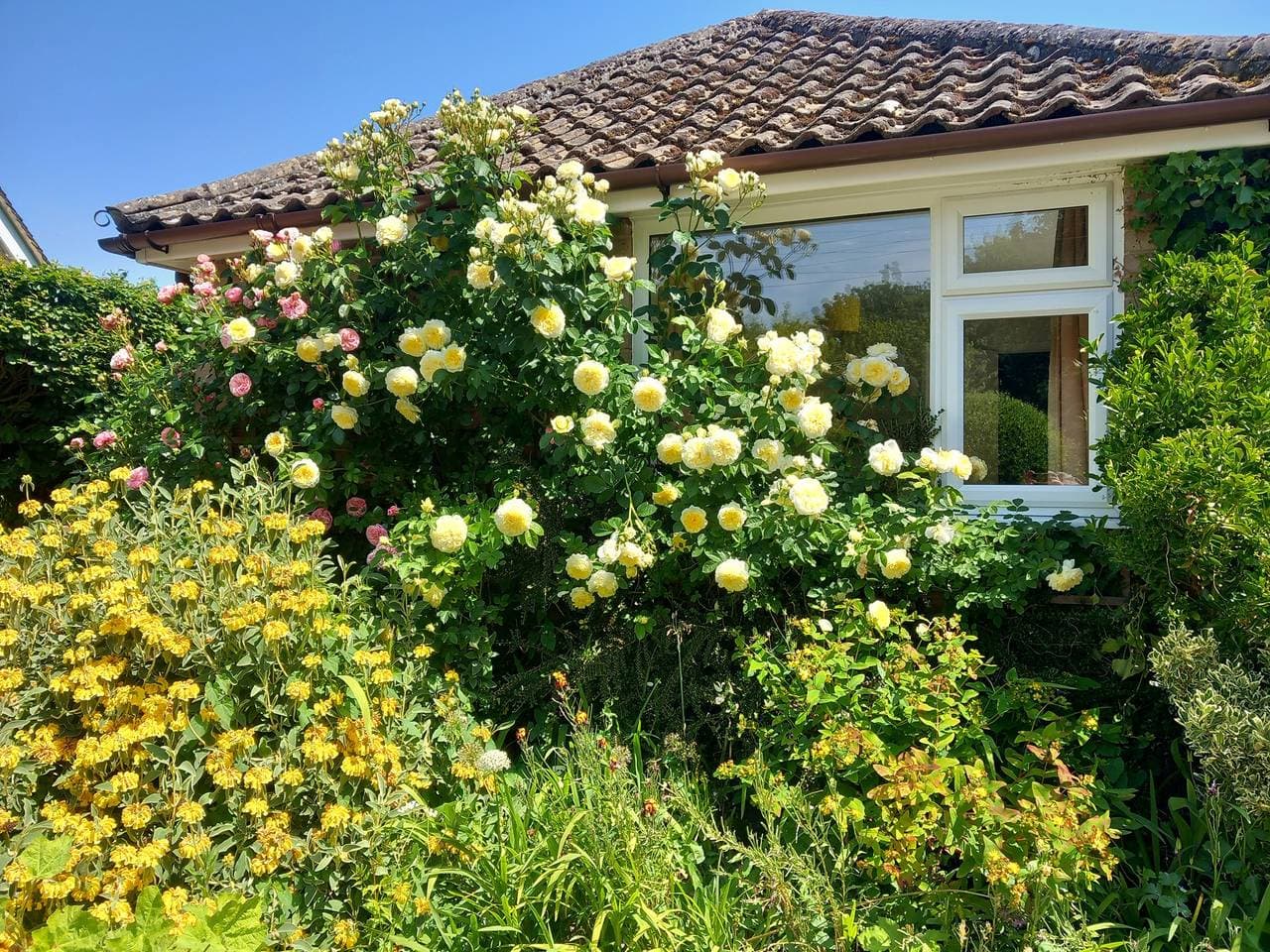 Foto 3 von 32: Cottage für 2 Personen mit Garten