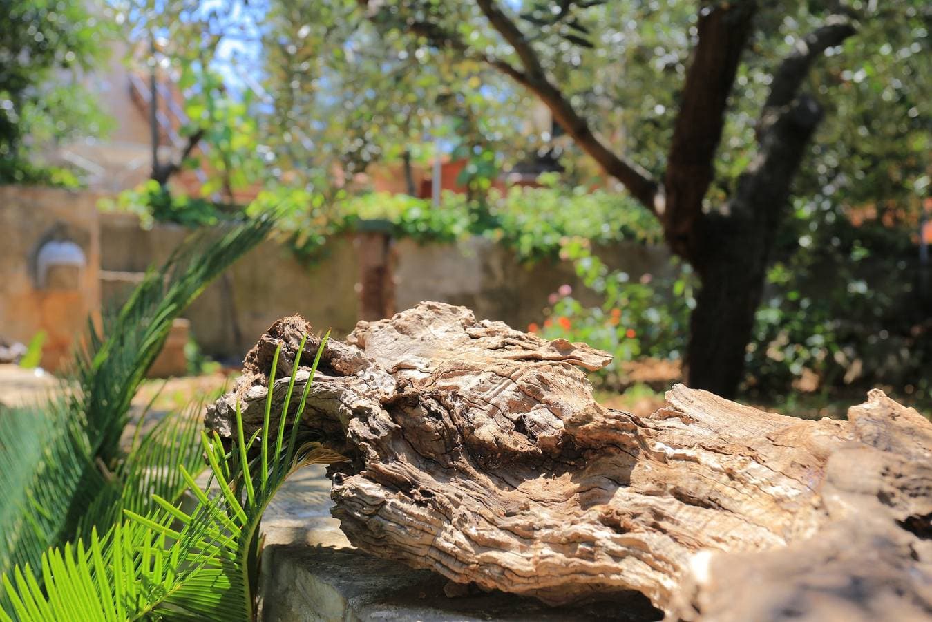 Foto 7 von 20: Zimmer mit Terrasse und Meerblick Trogir -b