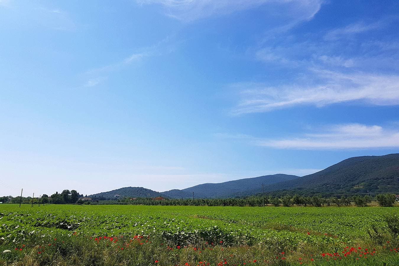 Foto 5 von 38: Haus Casale Rovereto im Maremma Park