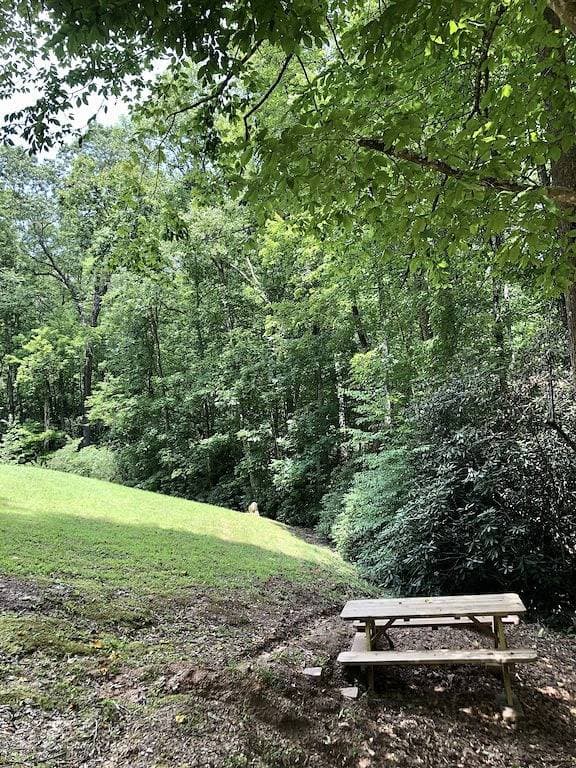 Foto 8 von 44: BearPaw Cabin - Charmante und gemütliche Hütte im Wald - WLAN - Haustierfreundlich - Abgelegen