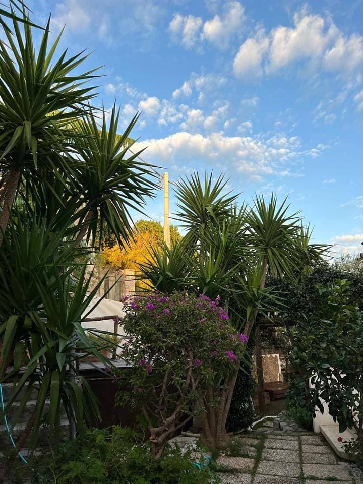 Foto 11 von 65: Holiday Home