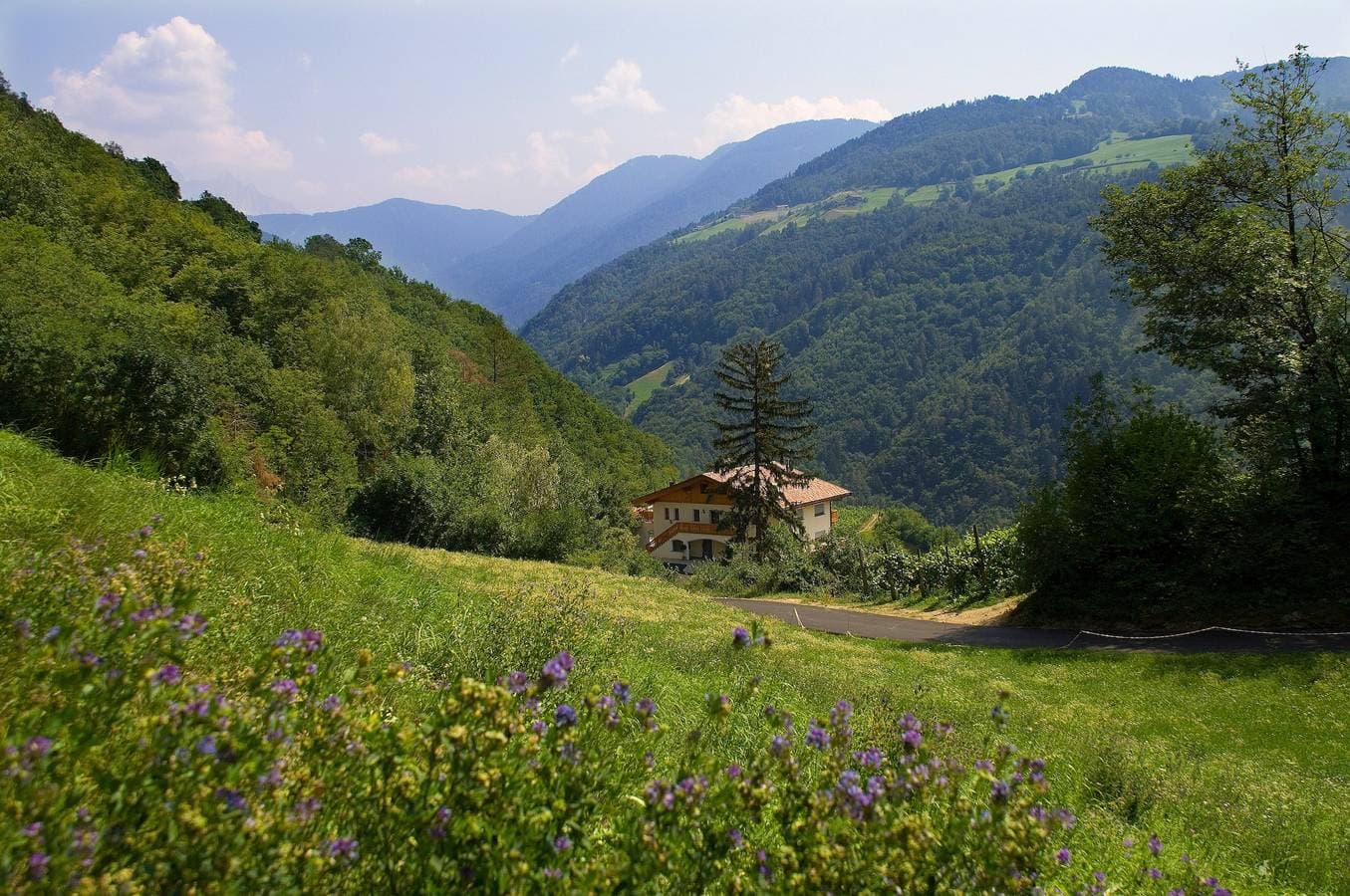 Foto 4 von 62: Ferienwohnung 'Prackfolerhof Berty Skuber' mit Bergblick, Gemeinschaftsterrasse und Wi-Fi