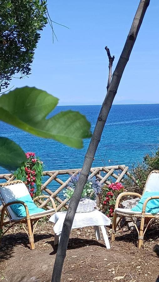 Villa Teresa sul mare 1
