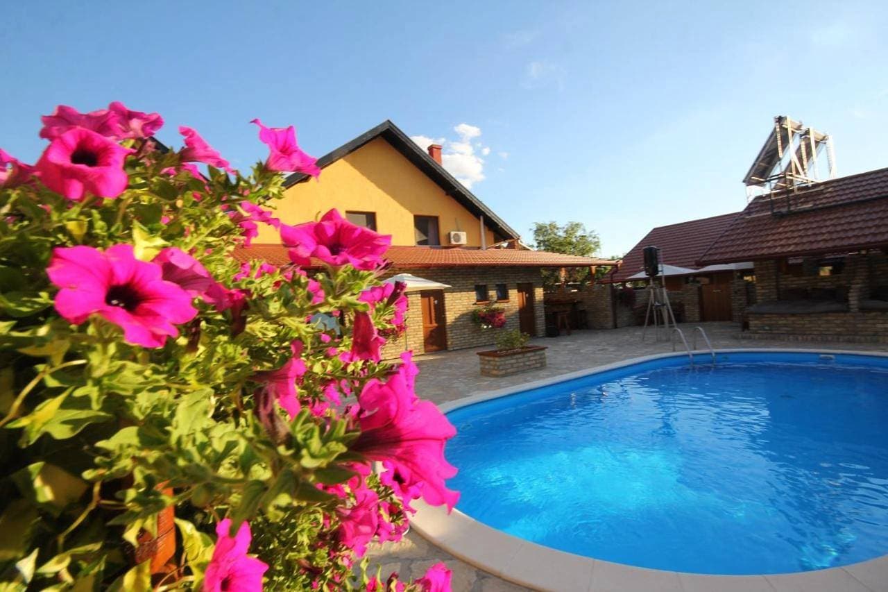 Guest House Vila Alexandar 1