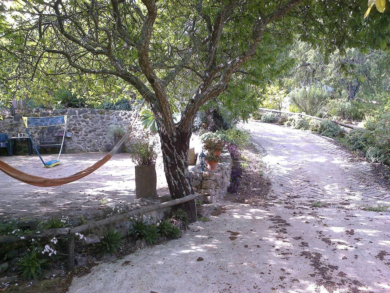 Foto 8 von 50: Casa Bi Rosario - Quinta Amoreira