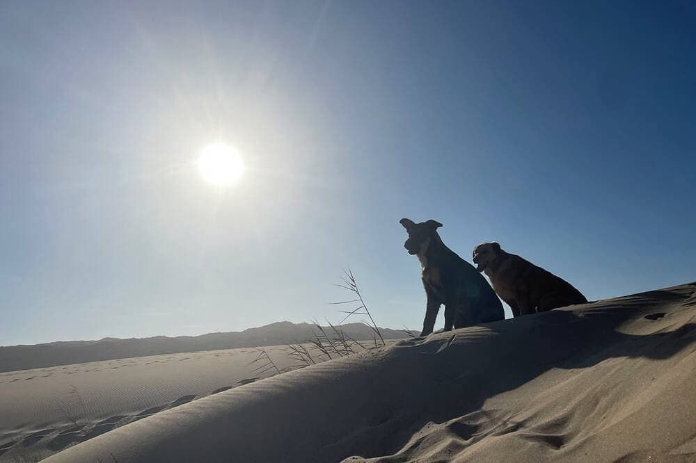 Foto 6 von 15: Destination for Couple, Surfers, Hikers, and Nature Lovers!