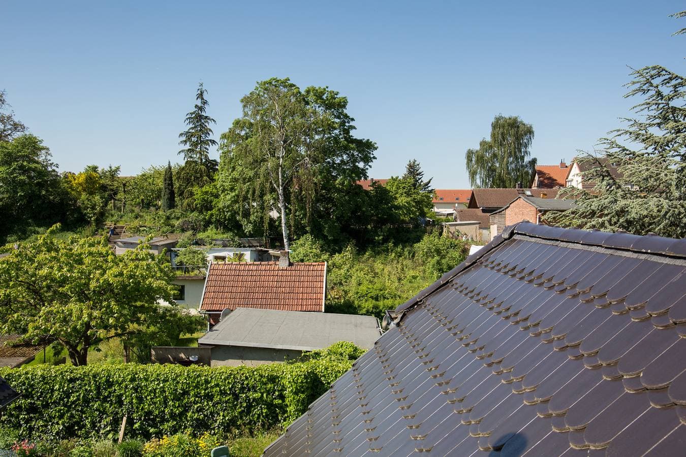 Foto 10 von 13: Ferienwohnung Lini in Schwerin