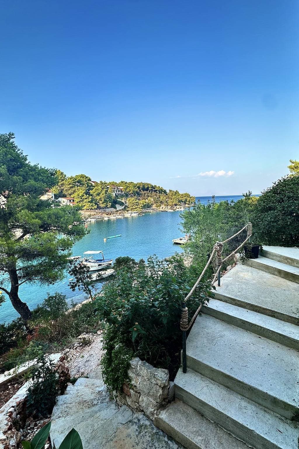 Foto 9 von 37: 1-Zimmer-Ferienwohnung am Strand Basina, Hvar A-24120-a