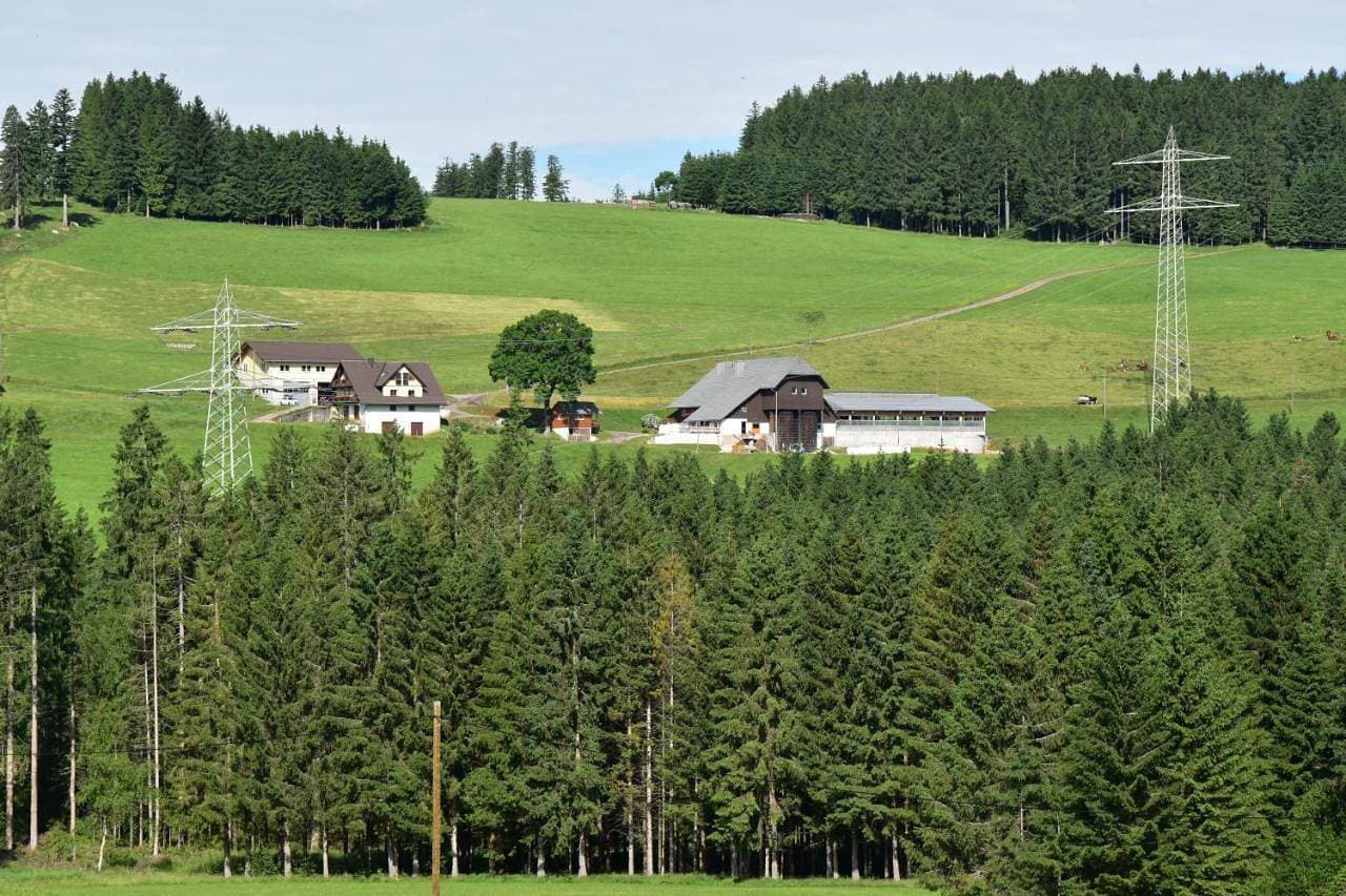 Dürrenbartleshof 1