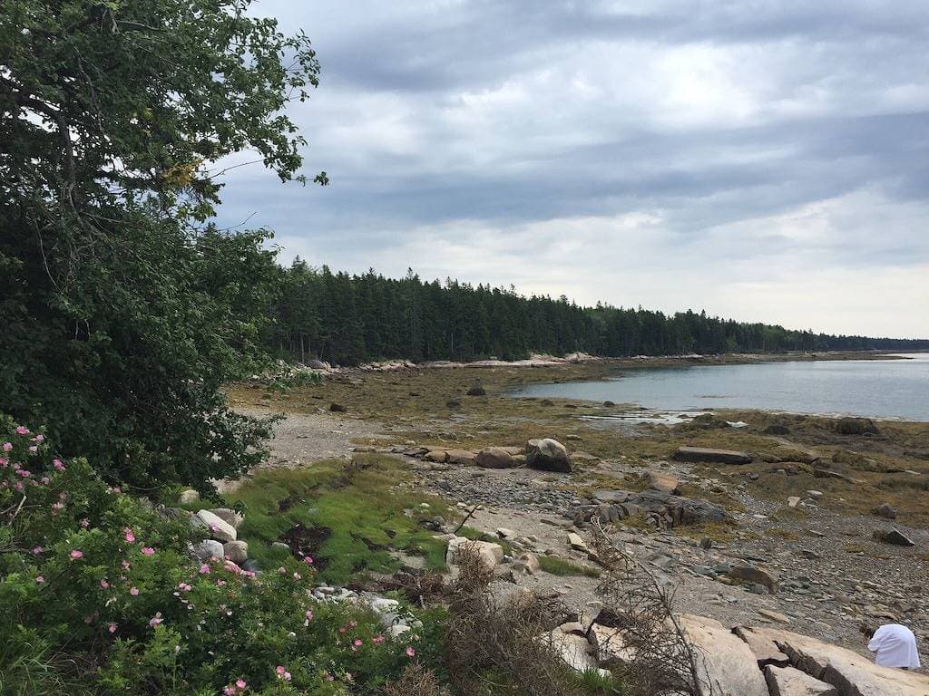 Foto 4 von 19: Ocean front 1-Zimmer-Hütte wenige Schritte vom Meer