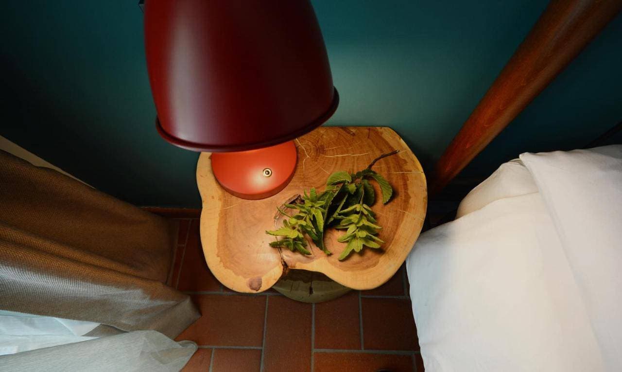 Foto 5 von 16: Deluxe Double or Twin Room with Garden View