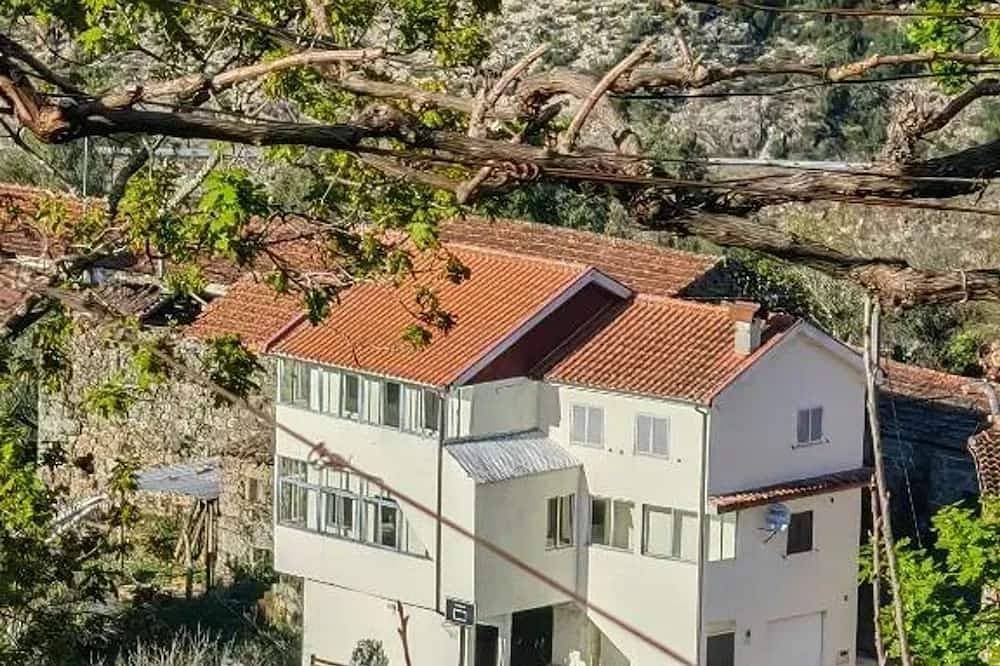 Homerez - Haus in Ruivães 1