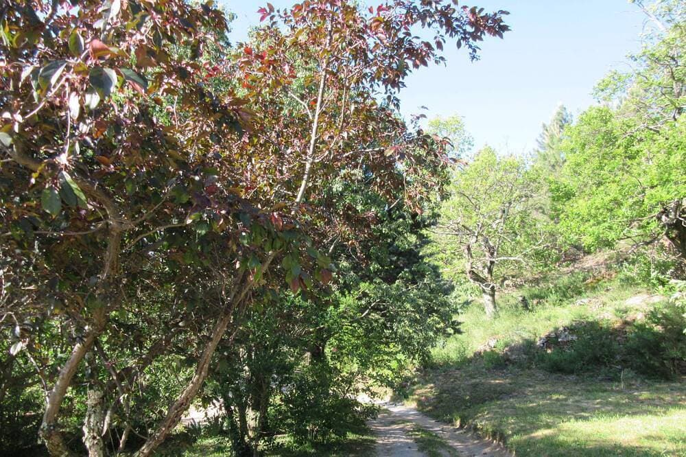 Foto 13 von 16: Gîte \"La Terrasse\". Ein echtes \"Adlernest\" für zwei Personen.
