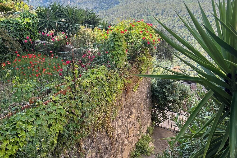Foto 12 von 30: Le Figuier de Saint-Cé - Kleiner Garten - Terrasse - Aussicht