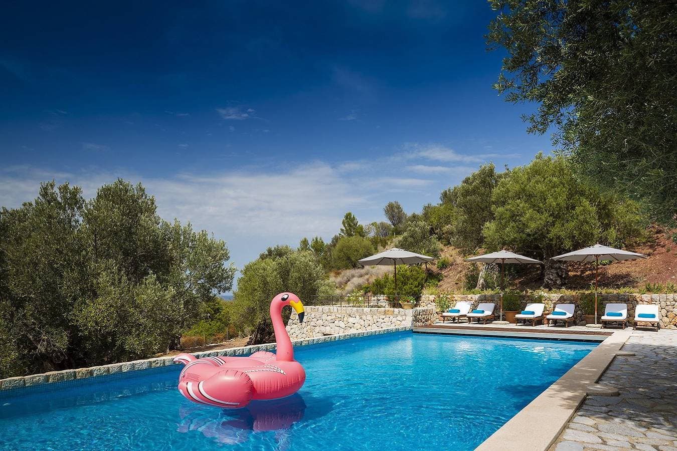 Foto 3 von 25: Villa für 8 Personen mit Garten