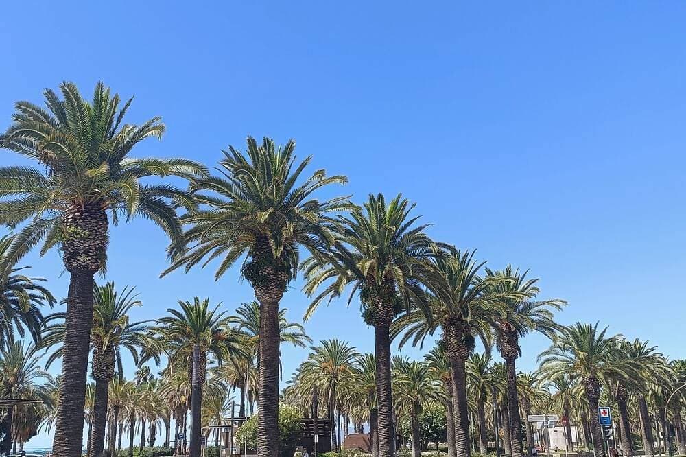 Foto 10 von 11: In Salou, Capellans beach apartment. Ideally located.