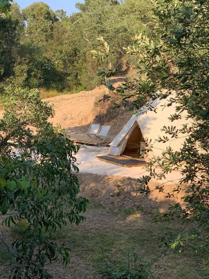 Foto 12 von 13: Tent